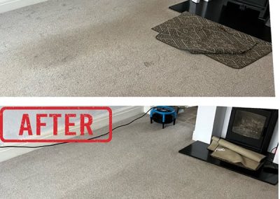 Professional-Carpet-cleaner-in-Llandudno.jpeg