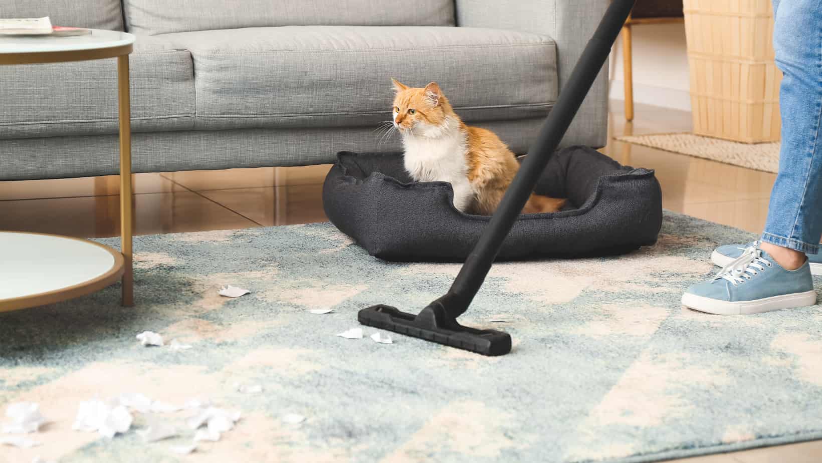 Expert carpet cleaning tips