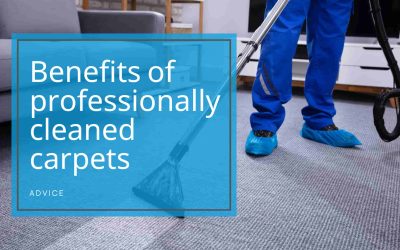 Benefits of Professionally Cleaned Carpets