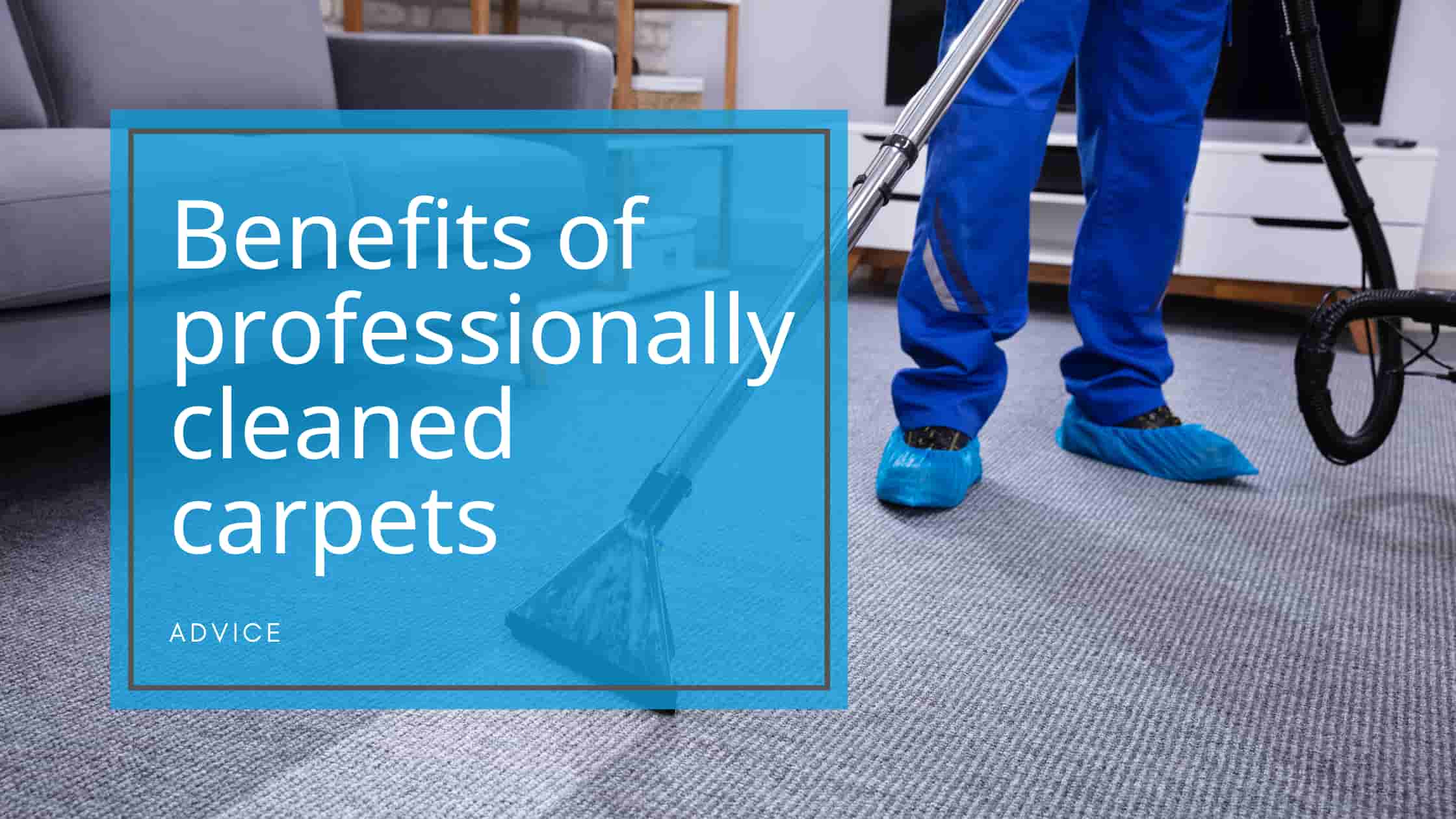 Benefits of a professionally cleaned carpet