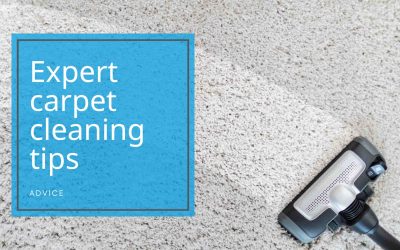 Expert Carpet Cleaning Tips